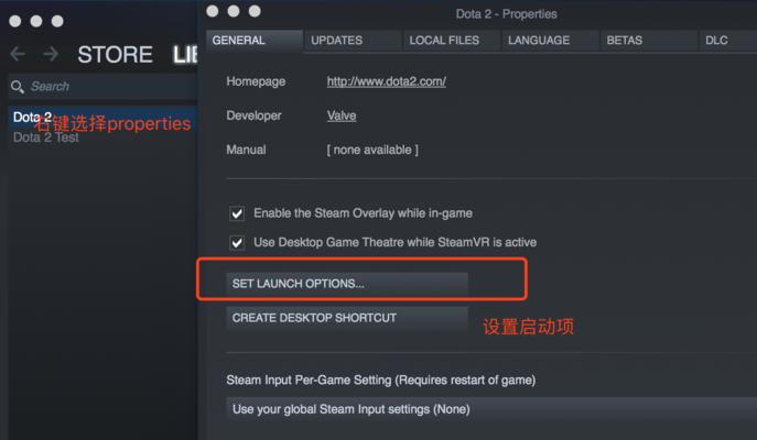 分享dota国服启动项指令，助力游戏畅玩（提升游戏体验）